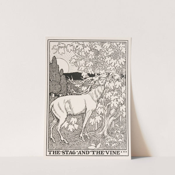The Stag and the Vine by Percy J. Billinghurst