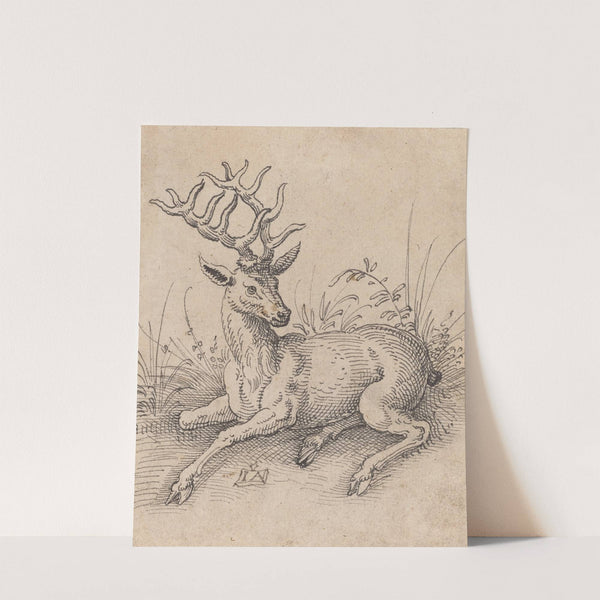 The Stag by Jost Amman