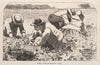 The Strawberry Bed (1868)