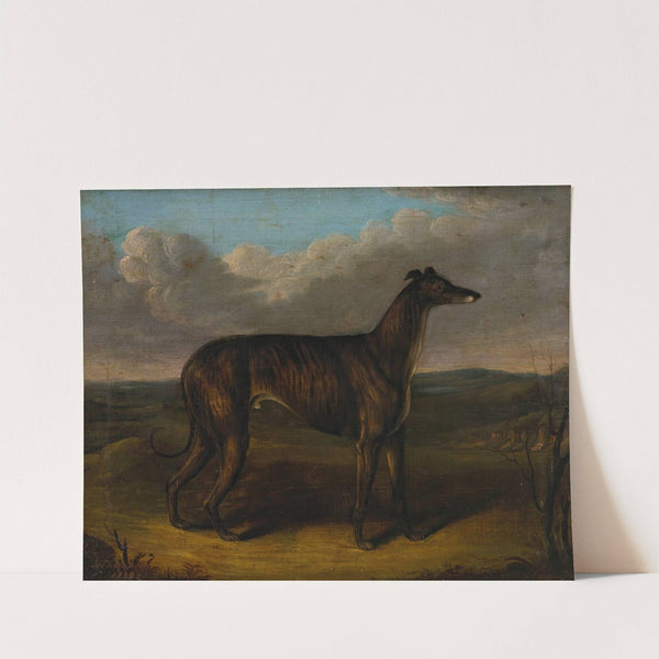 The Sultan; A Greyhound by J. Thompson