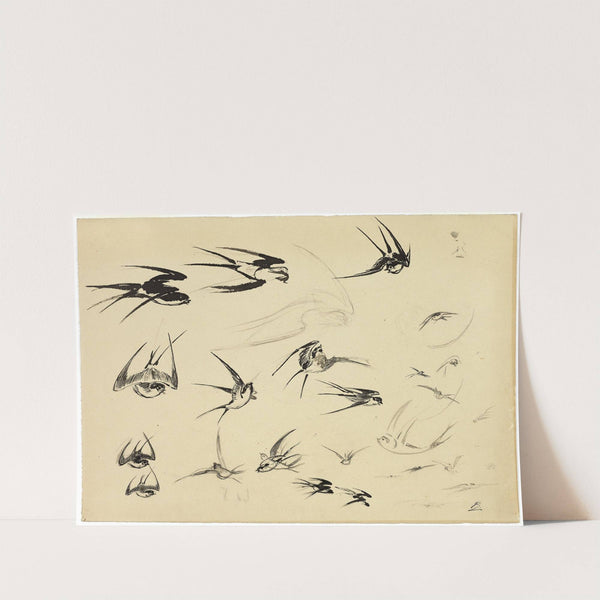 The Swallows (1881) by Félix Bracquemond