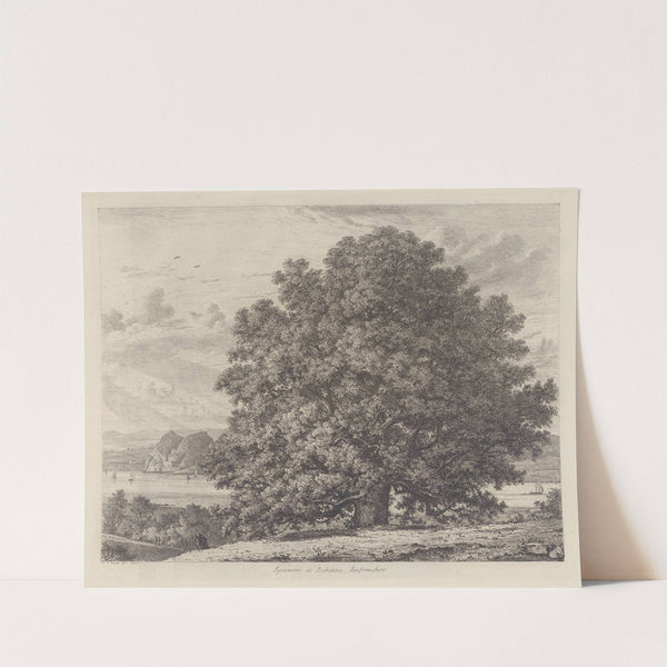 The Sycamore at Bishopton by Jacob George Strutt