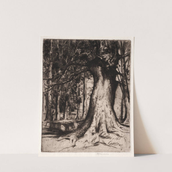 The Sycamore (1905) by David Young Cameron