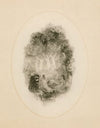 The tempest; act V, scene 1 ‘Under the blossom that hangs on the bough’ (1887)