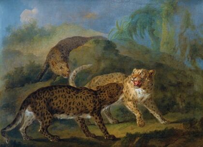 The Three Leopards