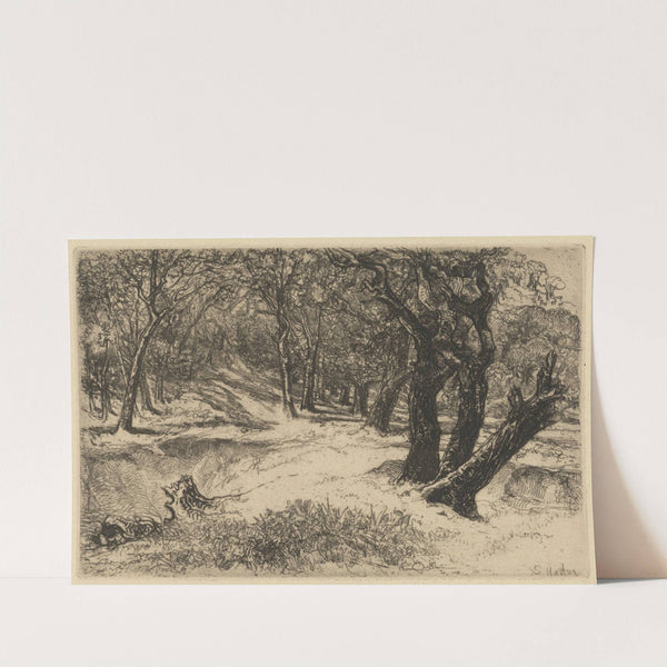 The Three Sisters by Francis Seymour Haden