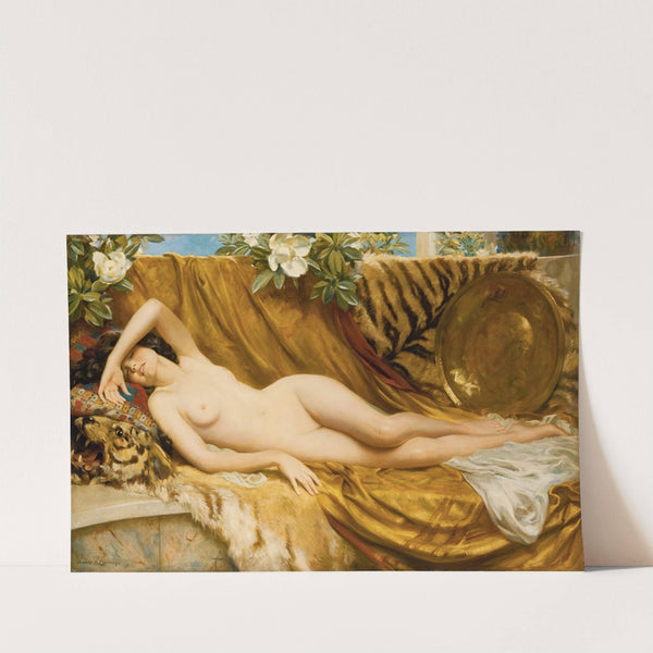 The Tiger Skin by Albert Henry Collings