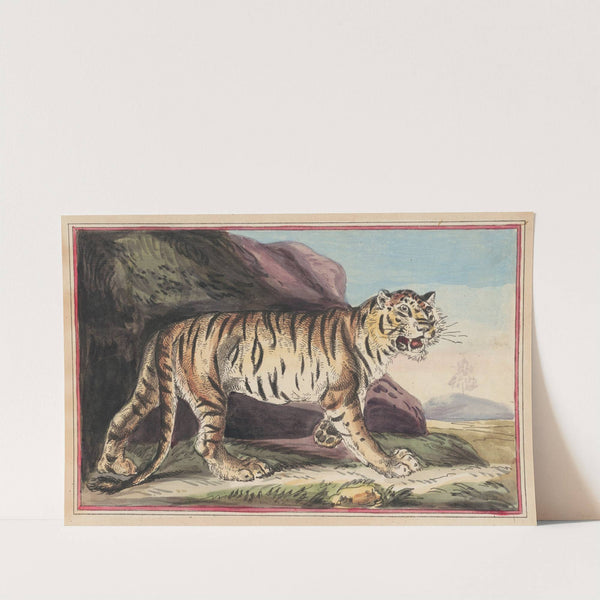 The Tiger (1787) by Thomas Rowlandson