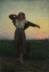 The Tired Gleaner
