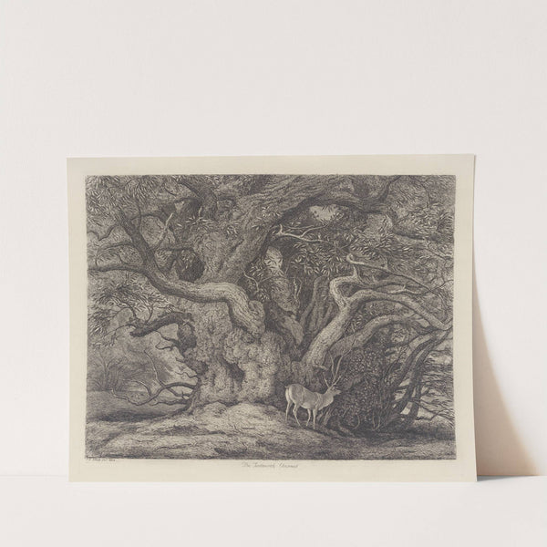 The Tortworth Chesnut by Jacob George Strutt