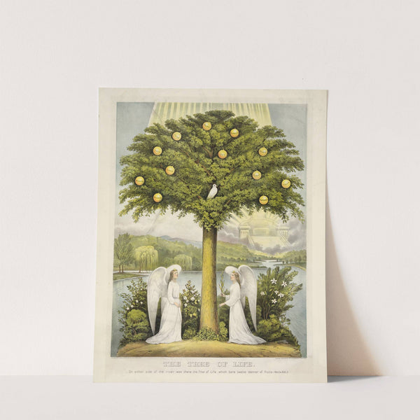 The tree of life; on either side of the river was there the tree of life which bare twelve manner of fruits.–Rev. ch. XXII,2 (1892) by Currier & Ives.