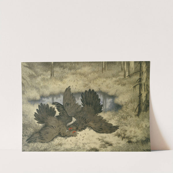 The Troll Bird Fight In There by Theodor Kittelsen