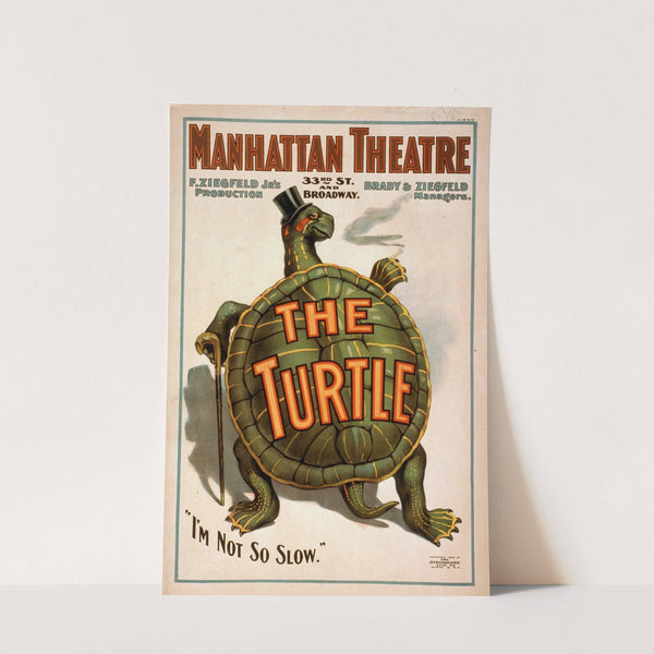 The turtle (c1898) by Strobridge & Co. Lith.