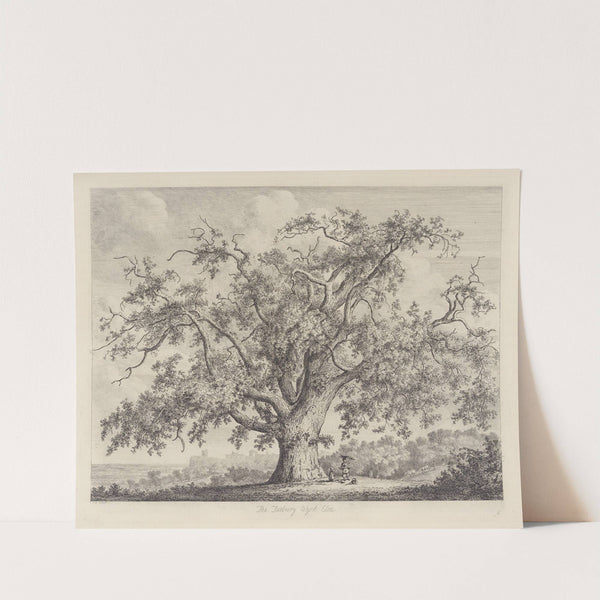 The Tutbury Wych-Elm by Jacob George Strutt