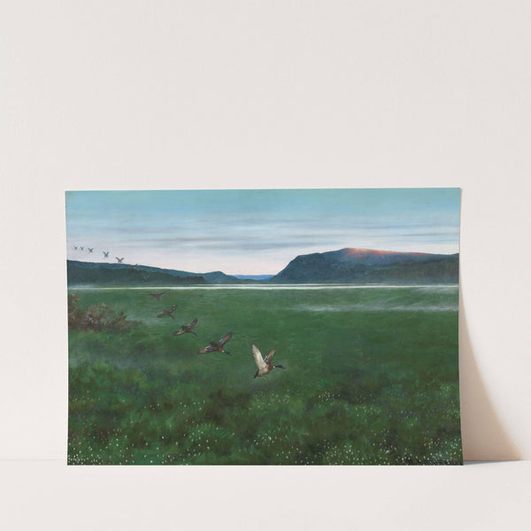 The Twelve Wild Ducks by Theodor Kittelsen