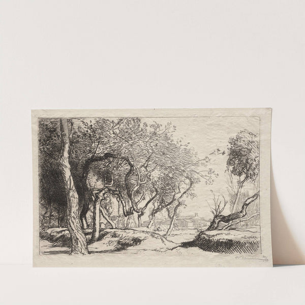 The Twisted Tree (1915) by Auguste Louis Lepère