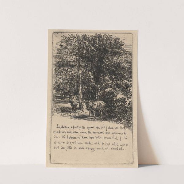 The Two Asses (1863) by Francis Seymour Haden