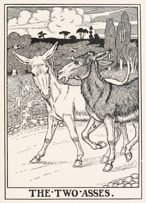 The Two Asses