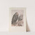The Two Eagles (1916-1917) by Louis Raemaekers