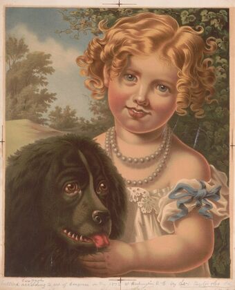 The two pets (1872)