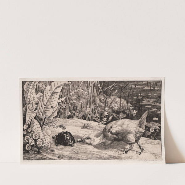 The Unknown (1862) by Félix Bracquemond