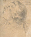 The Upturned Head of a Young Boy in Profile