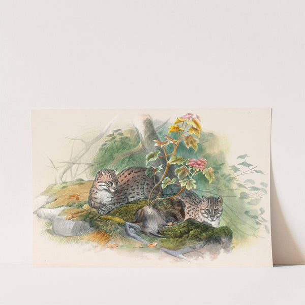 The Wagati Cat by Joseph Wolf