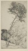 The Wand (1900-1925)