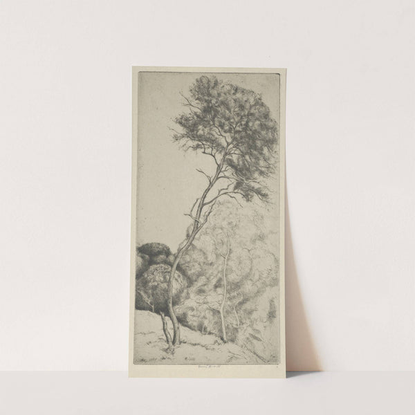 The Wand (1900-1925) by Ernest Haskell