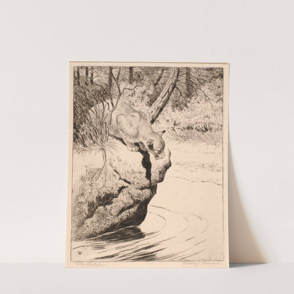 The Watcher by Rodney Thomson