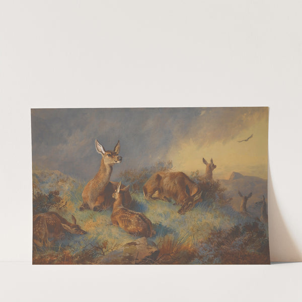 The Watchful Hinds by Archibald Thorburn