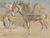The Water Carrier