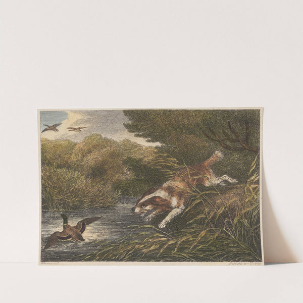 The Water Spaniel (1812) by Samuel Howitt