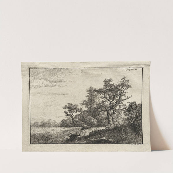 The Wheat Field (1648) by Jacob van Ruisdael