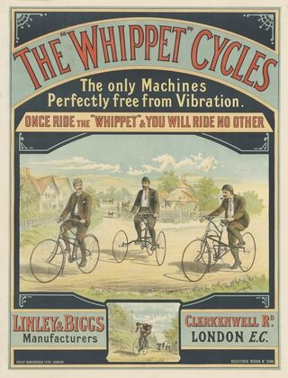 The Whippet Cycles (1890)