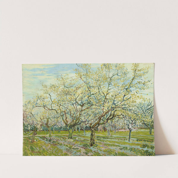 The white orchard (1888) by Vincent van Gogh