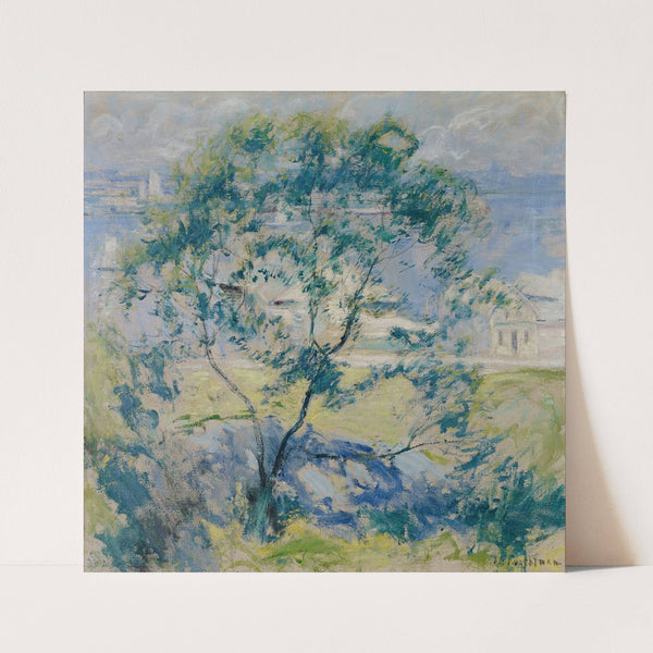 The Wild Cherry Tree (circa 1900) by John Henry Twachtman