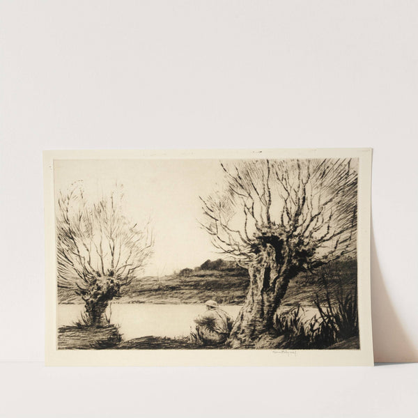 The Willows by Kerr Eby