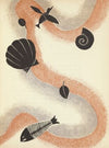 The Wind