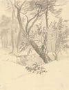 The Wood