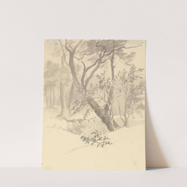 The Wood by Robert Hills