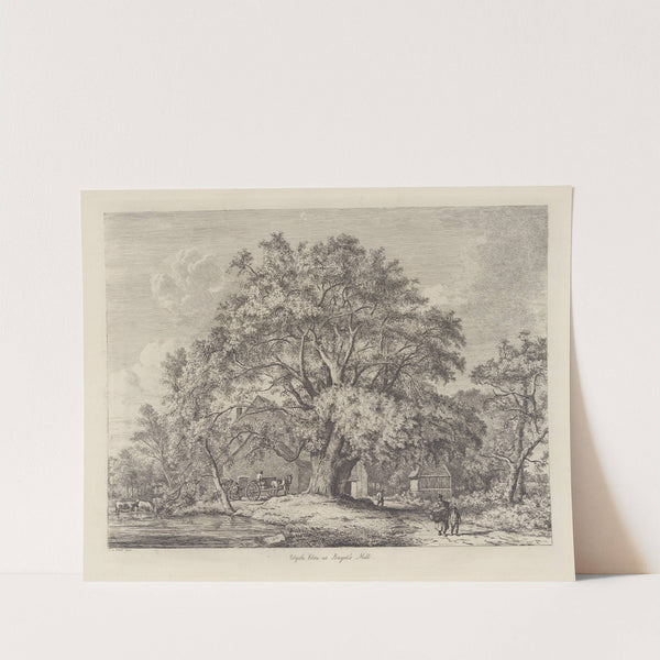 The Wych Elm at Bagot’s Mill by Jacob George Strutt