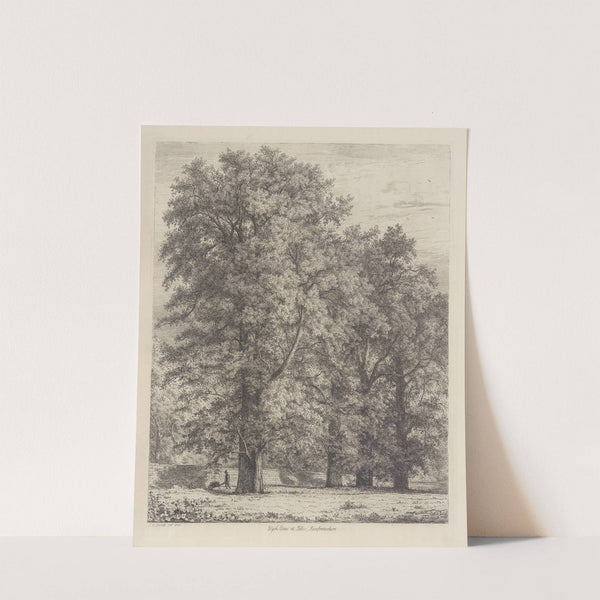 The Wych Elms at Polloc by Jacob George Strutt