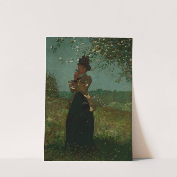 The Yellow Jacket by Winslow Homer