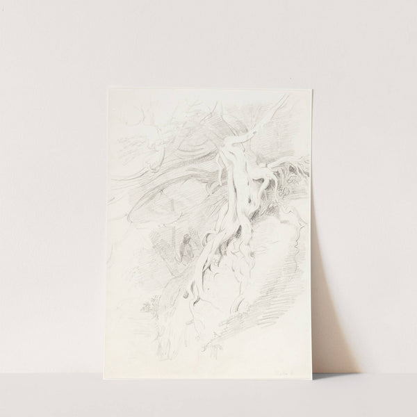 The Yew at Clifton by Thales Fielding