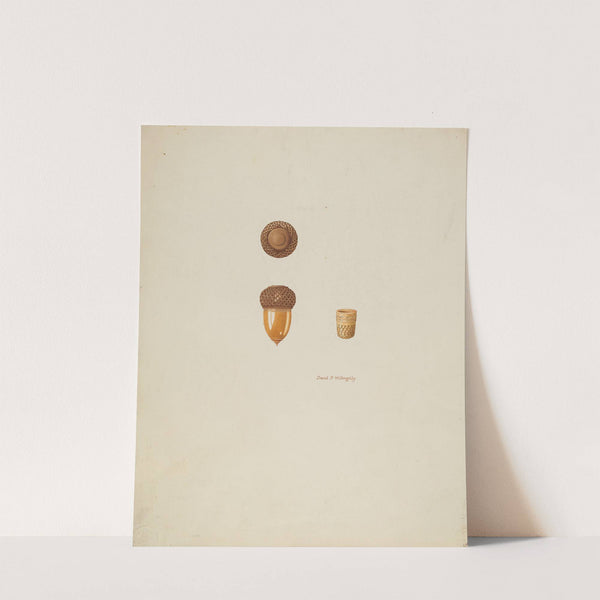 Thimble Case by David P Willoughby