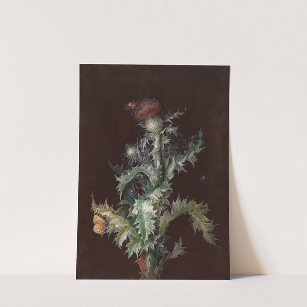 Thistle with Insects by Johann Christoph Dietzsch