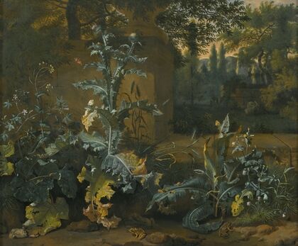 Thistles, Dock And Other Forest-Floor Plants In A Parkland Setting With Frogs, Butterflies And Snails