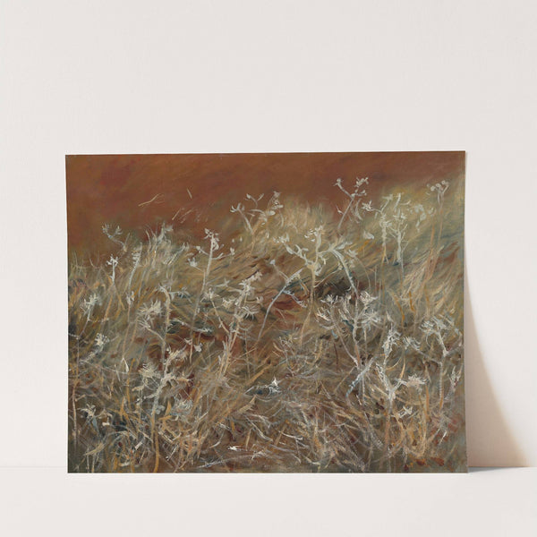 Thistles by John Singer Sargent