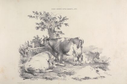 Thomas Sydney Cooper’s cattle subjects Pl.02